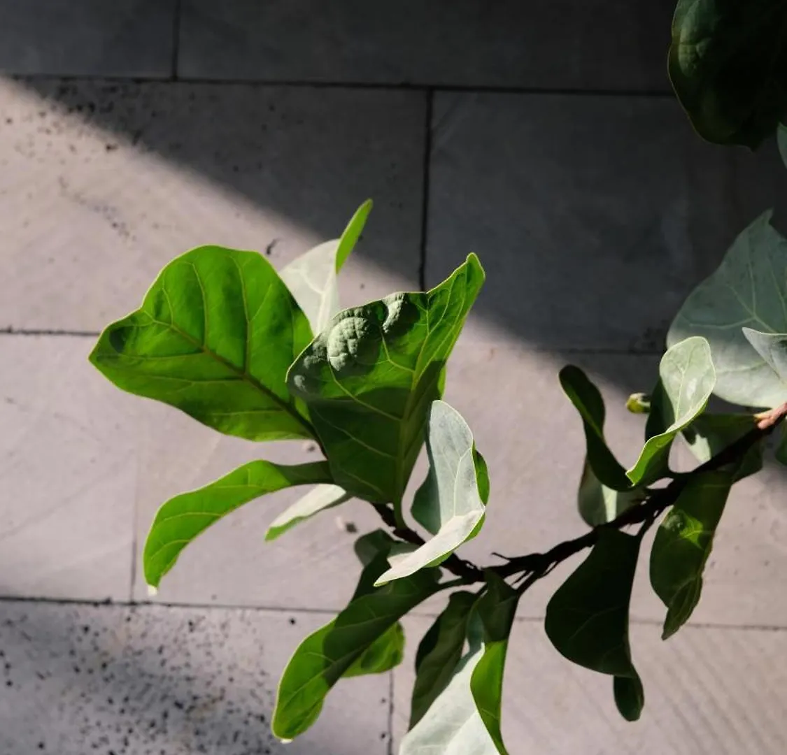 Marilyn Boutique Hotel Nha Trang 3*,  Vietnam